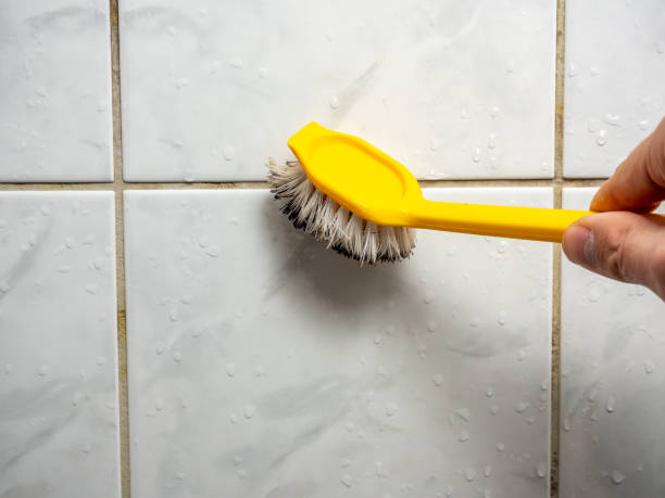 Best Mold Removal Near Me  in Douglas, GA