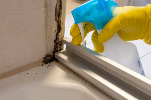 Best Crawl Space Mold Removal  in Douglas, GA