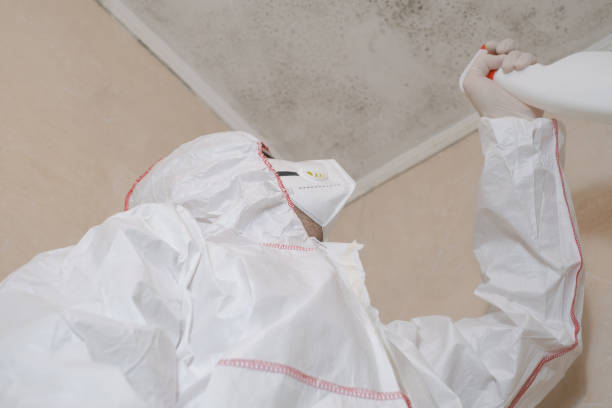 Best Mold Removal Process  in Douglas, GA