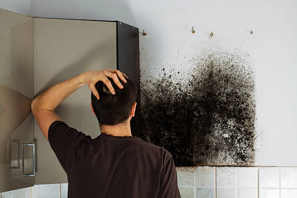 Best Mold Testing  in Douglas, GA